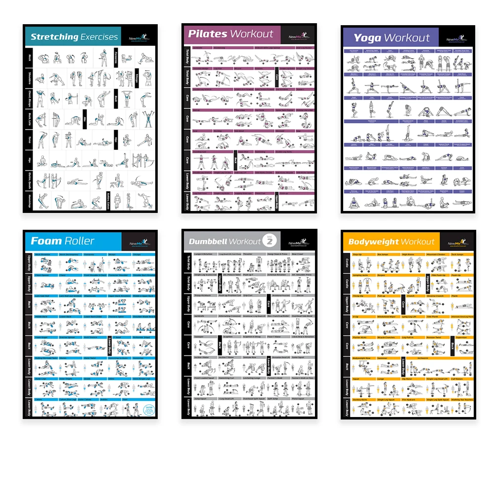 Body Exercise Training Chart W - Home Decor Essentials review and price