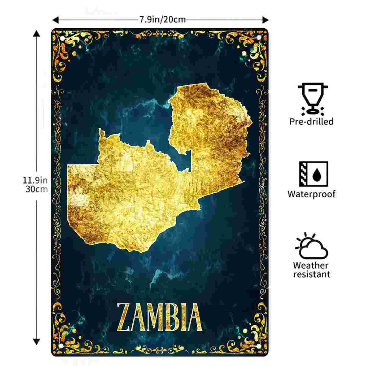 2D FLAT 1pc Zambia Gold Foil M - Home Decor Zambia review and price