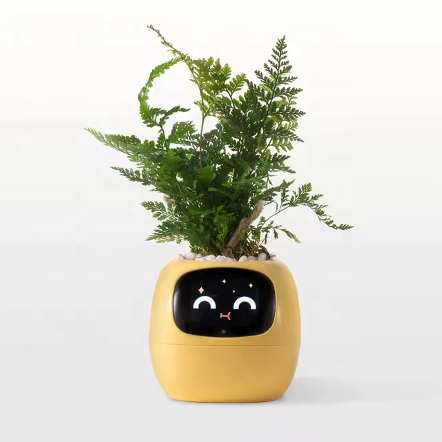 YY Wifi Ai Planter Watering Re - Home Decor Express review and price